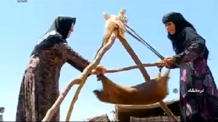 رۆنی خۆماڵیی کرماشان