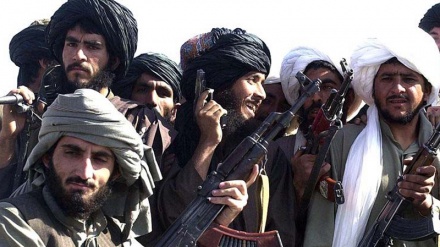 افغانستان :4 اہم چیک پوسٹوں پر طالبان کا قبضہ