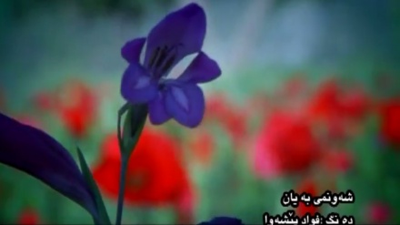 گۆرانیێک خوش پێشکەش بە هاورێیان