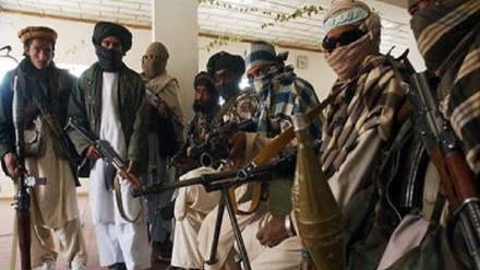 Taliban və İŞİD bir-biri ilə beyət edib