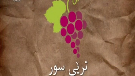 قازانجەکانی ترێی سور