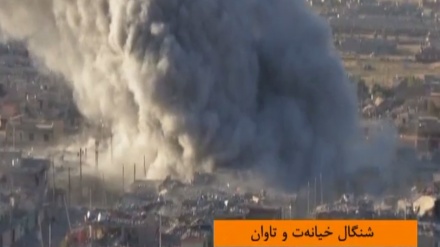 شنگال خیانه‌ت و تاوان