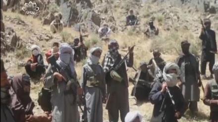 افغانستان میں سعودی ریشہ دوانی