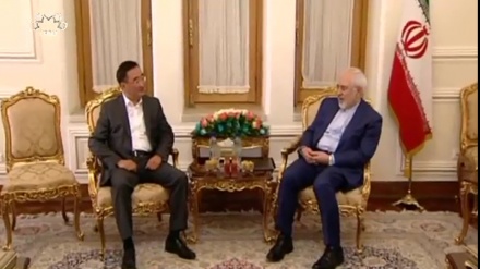 تہران میں وزیر خارجہ سے مختلف عالمی رہنماوں کی ملاقات