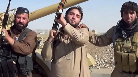 داعش میں زیادہ دہشت گرد یورپی ملکوں کے 