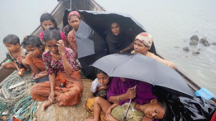ہندوستان سے روہنگیا پناہ گزینوں کو نکالے جانے پر اقوام متحدہ کی تشویش