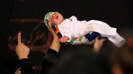 حسینی شیرخواروں کا عظیم الشان اجتماع ۔ تصاویر