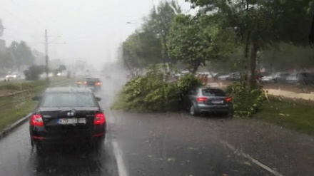 Olujni vjetar u Sarajevu rušio stabla i nosio krovove, aktivan narandžasti meteoalarm