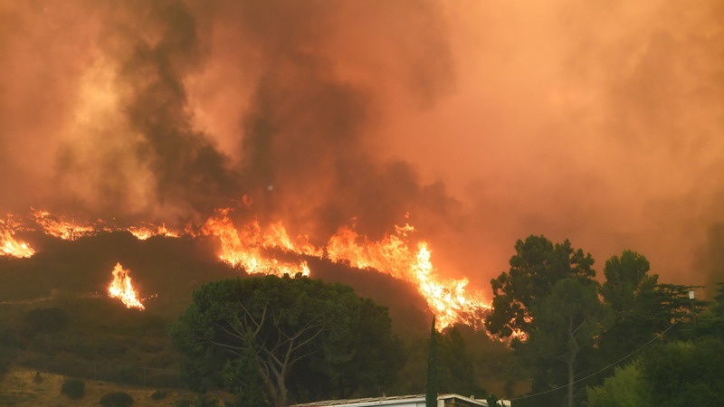 کیلیفورنیا میں آگ سے تباہی 2000 عمارتیں جل گئیں