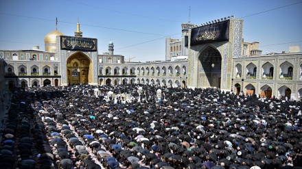 Ceremonija Tasua Hoseini u haremu imama Reze (a.s)