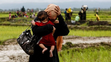 Raxin vilayətinə humanitar yardımlara imkan yaradılsın