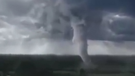 فەرتەنە و باهۆزی هاروی, ئەمریکا