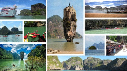  دوورگەی فیلەكان