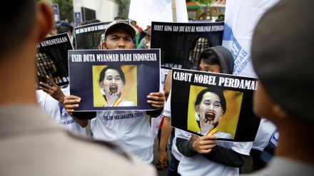 Fransada Rohinca müsəlmanlarına dəstək aksiyası keçirilib