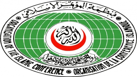 کشمیریوں کے حق خود ارادیت پر تاکید