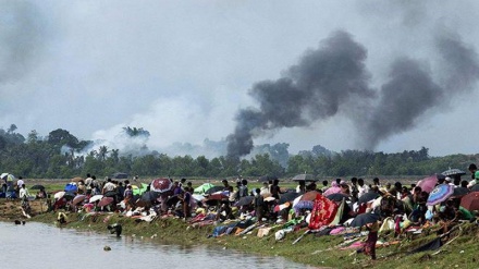 Zərif: İslam ölkələri başçıları Myanma müsəlmanlarına qarşı cinayətləri araşdırırlar