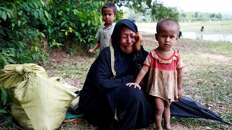 روہنگیا مسلمانوں پر مظالم کی تحقیقات شروع