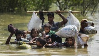 Potlačeni muslimani Rohingja
