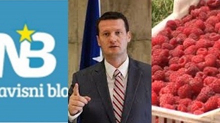 NEZAVISNI BLOK: Jučer u Parlamentu rješenje za malinare u Bosni i Hercegovini