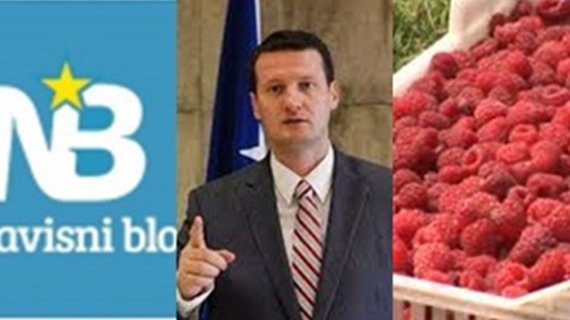NEZAVISNI BLOK: Jučer u Parlamentu rješenje za malinare u Bosni i Hercegovini