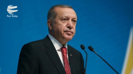 Ərdoğan: Soçi görüşünün oxşarının davam etməsi ehtimalı var