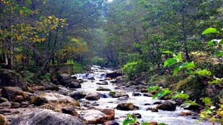 کلیپێکی سەرنجڕاکێش لە گۆندی جەواهردێ 