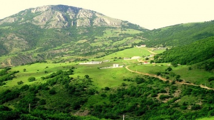 دارستانەکانی ناوچەی ئەرەسباران