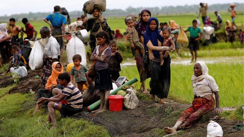 روہنگیا مسلمان بنگلہ دیش کی جانب ہجرت کرنے پر مجبور
