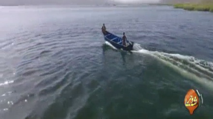 گۆرانیێک خۆش به دەنگی ئارام باڵکی