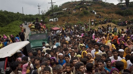 روہنگیا مسلمانوں کو امداد پہنچانے کی حمایت  