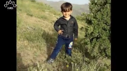 ئەلبۆمی وێنەی بینــەران