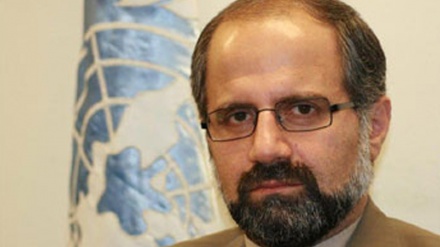 سلامتی کونسل کی کارکردگی پرتنقید