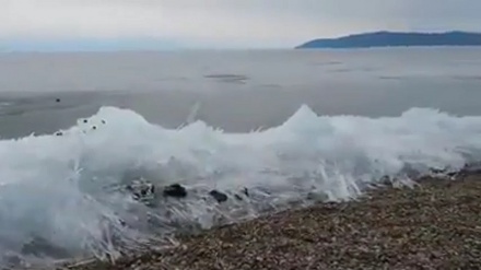 شەپۆلی سەهۆڵ