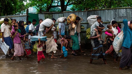 Myanma müsəlmanlarının durumu olduqca acınacaqlıdır 