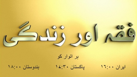 ٹیزر- فقہ اور زندگی