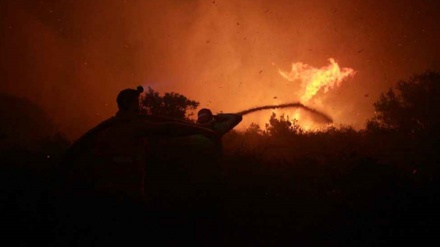 U Portugalu i Španiji 30 smrtno stradalih u požarima
