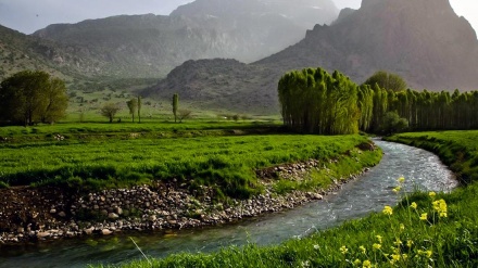 سروشتی سه‌رنجڕاکێشی شاره جوانه‌که‌ی کرماشان