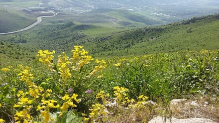 سروشتی سهرنجڕاکێشی شاره جوانهکهی بانه - گوندی نهجنێ