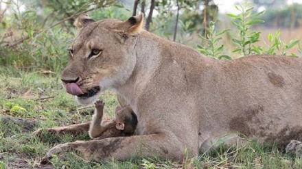 کلیپێکی جوان و سەرنجڕاکێش کە نابێ لە دەستی بدەن