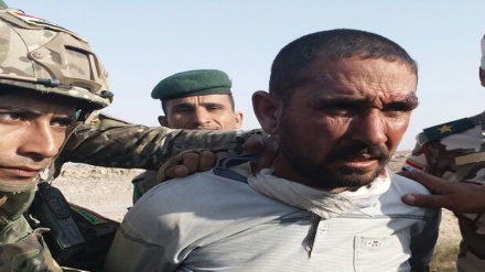 Spayker cinayəti ilə bağlı terrorçu yaxalanıb