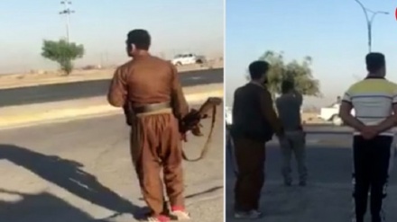 هەڵاتنی ژمارێک پێشمەرگە له شاری کەرکووک 