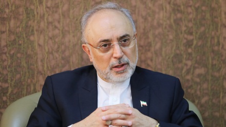 İran əlavə protokolun icrasının dayandırılması haqda xəbərdarlıq etdi