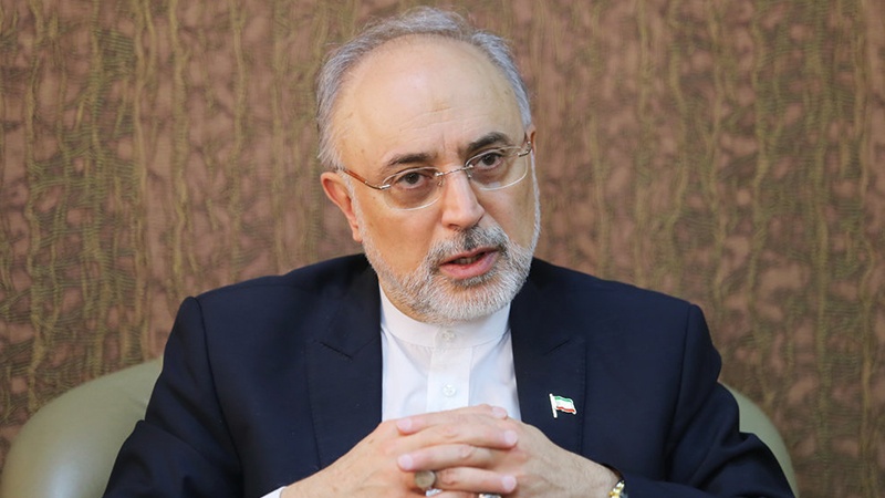 ایران ایڈیشنل پروٹوکول پر رضاکارانہ عملدرآمد روک سکتا ہے، صالحی