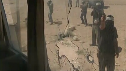 چەن بەشێک لە بەڵگه فیلمی هەڵدێری چەواشه