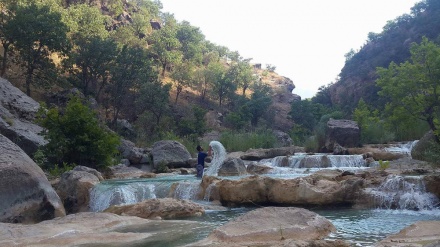 سروشتی چوار وەرزی ساڵ لە هەرێمی کوردستان