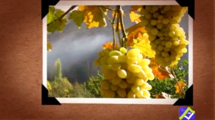 گۆرانیێک خۆش به دەنگی شاباز شاهین پوور