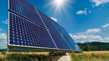 وزە بووژان هەڵگرەکان