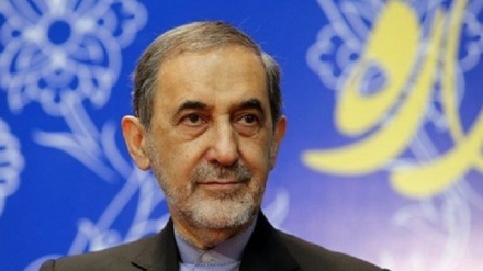 یمن بھی جلد ہی استقامتی محاذ میں شامل ہوجائےگا
