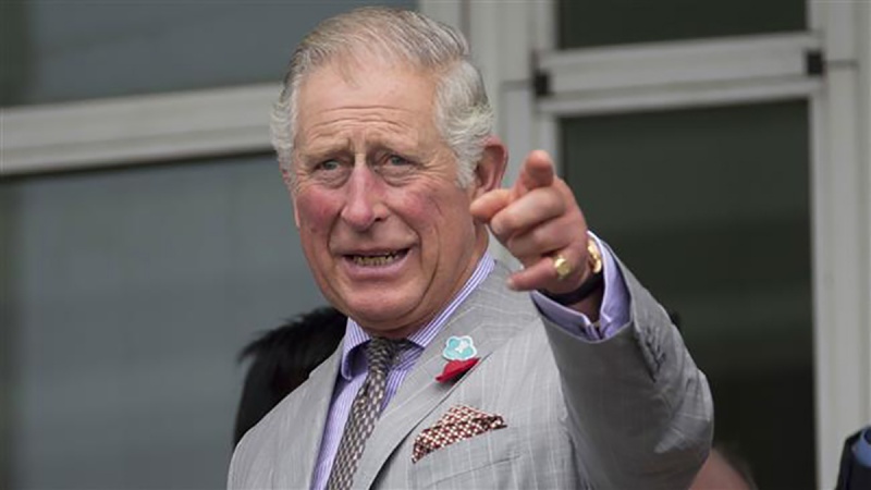Britanski princ Charles prihvatio milion funti od porodice Bin Laden