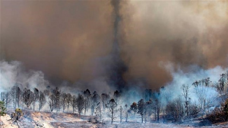 انڈونیشیا: جنگل میں لگنے والی آگ فضائی آلودگی کا باعث